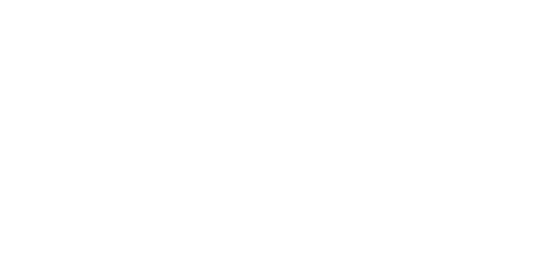 kurven-sicher.de